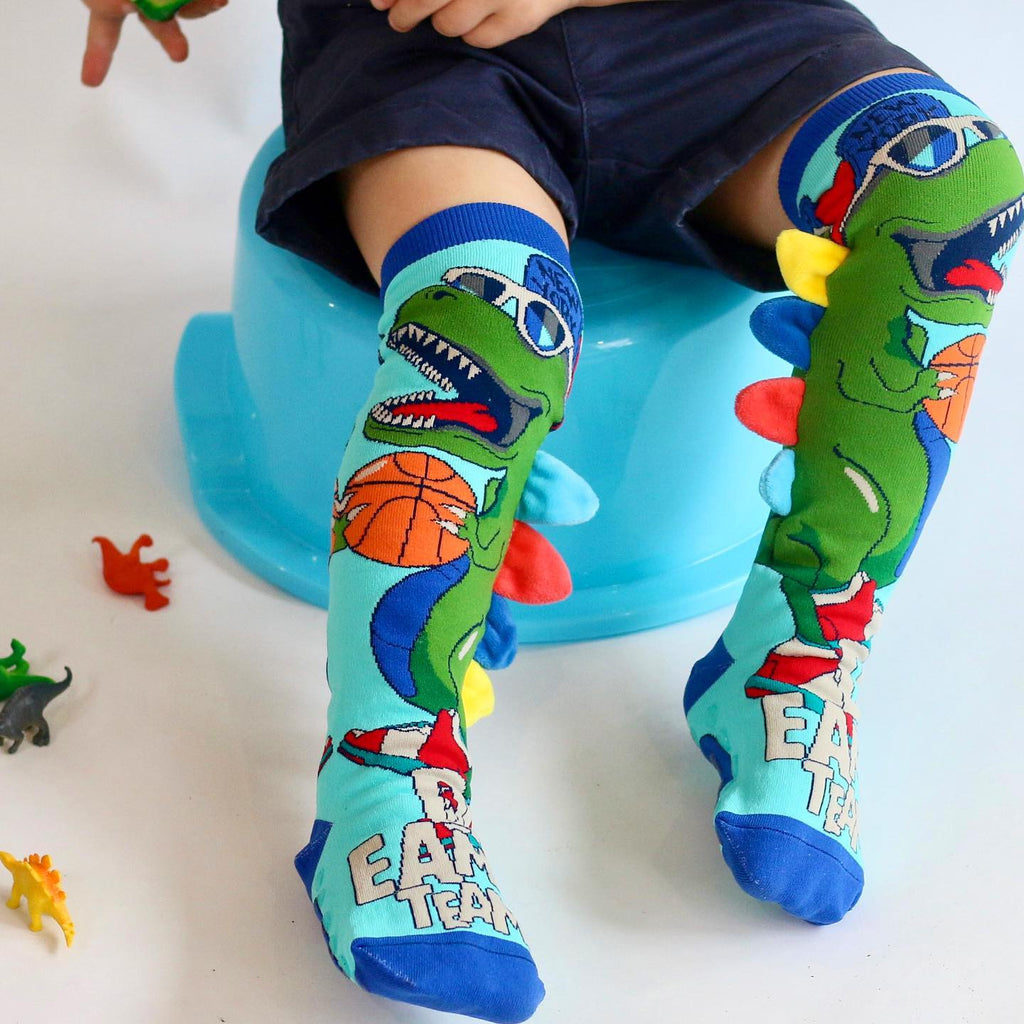 Dinosaurs Socks
