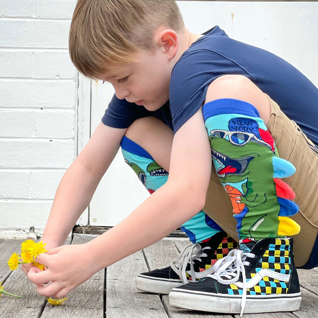 Dinosaurs Socks