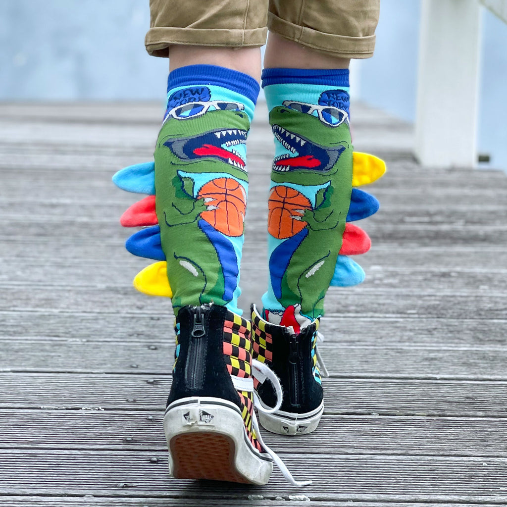 Dinosaurs Socks