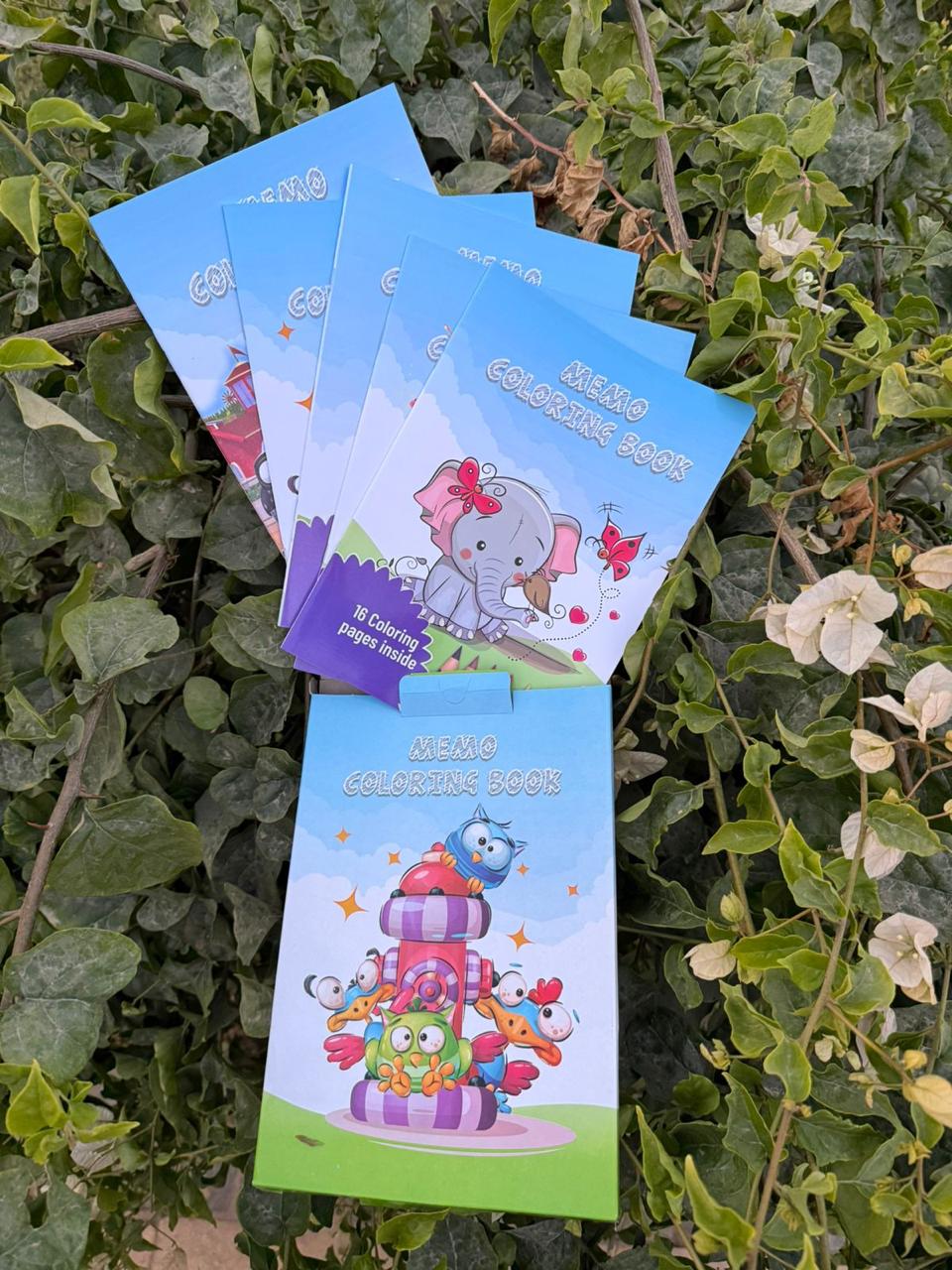 Memo set of 5 Cartoon Coloring Books