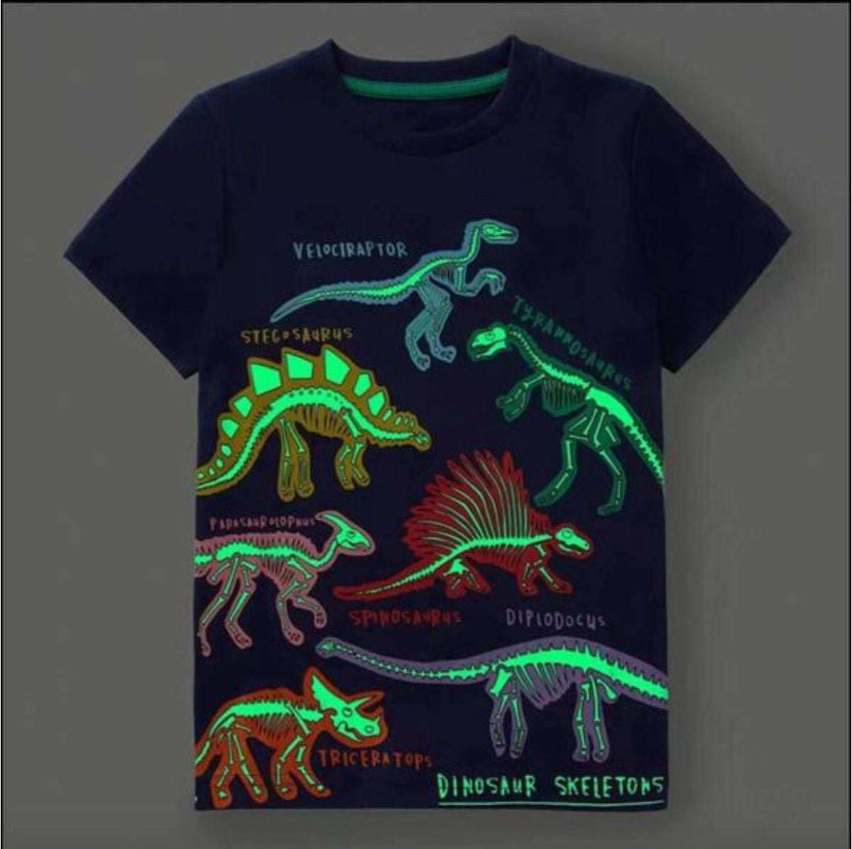 Glow-in-the-Dark Dinosaur Fossils T-shirt, Navy