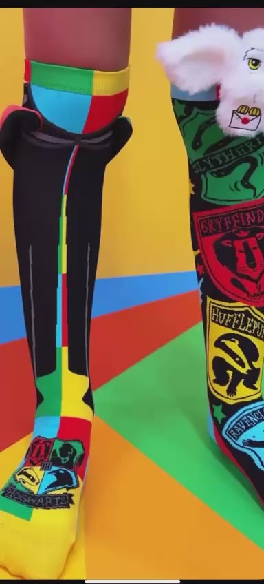Harry Potter Hogwarts and Hedwig Socks